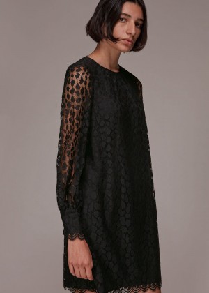 Whistles Animal Lace Tie Detail Dress Black | US-15349ALIP