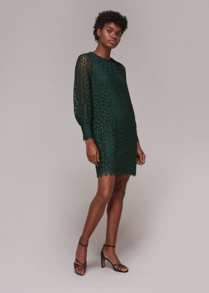 Whistles Animal Lace Tie Detail Dress Dark Green | US-05369DBWR