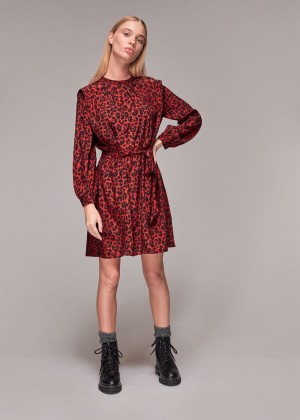 Whistles Belted Animal Print Dress Red / Multicolor | US-35619VZXH