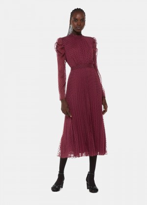 Whistles Dobby Velvet Celia Dress Burgundy | US-65214ECIU