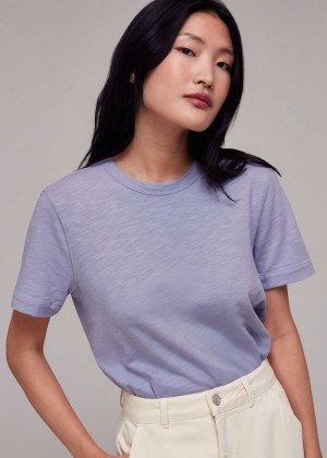 Whistles Emily Ultimate T-Shirt Purple | US-83241ZAWV