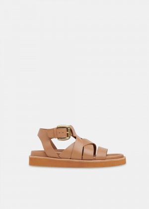 Whistles Ezra Strappy Sandals Brown | US-85930HOZQ