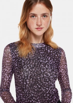 Whistles Feather Leopard Mesh Top Purple / Multicolor | US-70128TUHZ