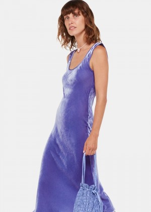 Whistles Hai Velvet Sienna Dress Purple | US-32605NKIU