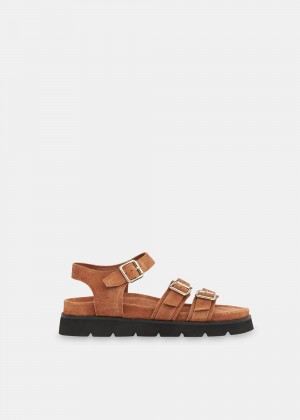 Whistles Jemma Triple Buckle Sandals Brown | US-07452MYJF