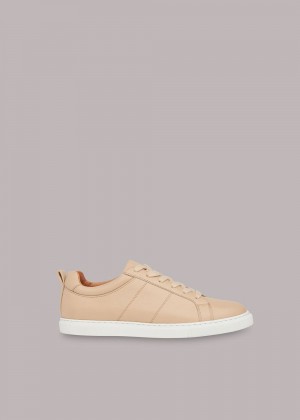 Whistles Koki Lace Up Sneakers Neutral | US-80934WBDR