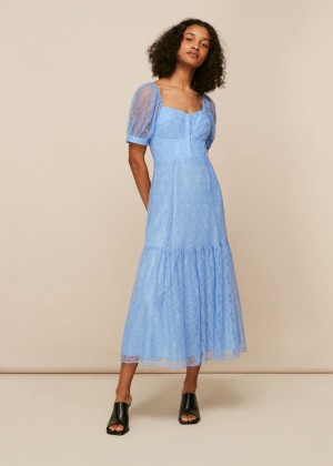 Whistles Lace Corset Dress Blue | US-51972GBJA