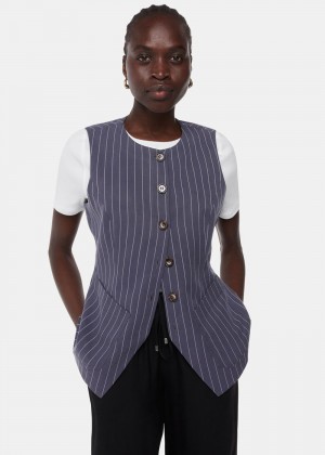 Whistles Lottie Pinstripe Vest Navy / Multicolor | US-19570BRQD