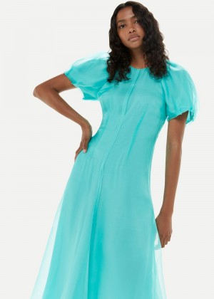 Whistles Organza Silk Puff Sleeve Dress Turquoise | US-63954LNHP