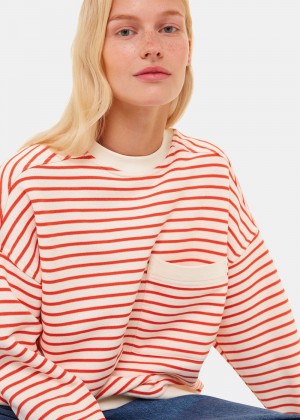 Whistles Stripe Sweatshirt Red / Multicolor | US-17439VZXK