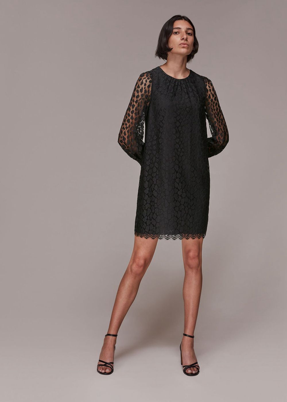 Whistles Animal Lace Tie Detail Dress Black | US-15349ALIP