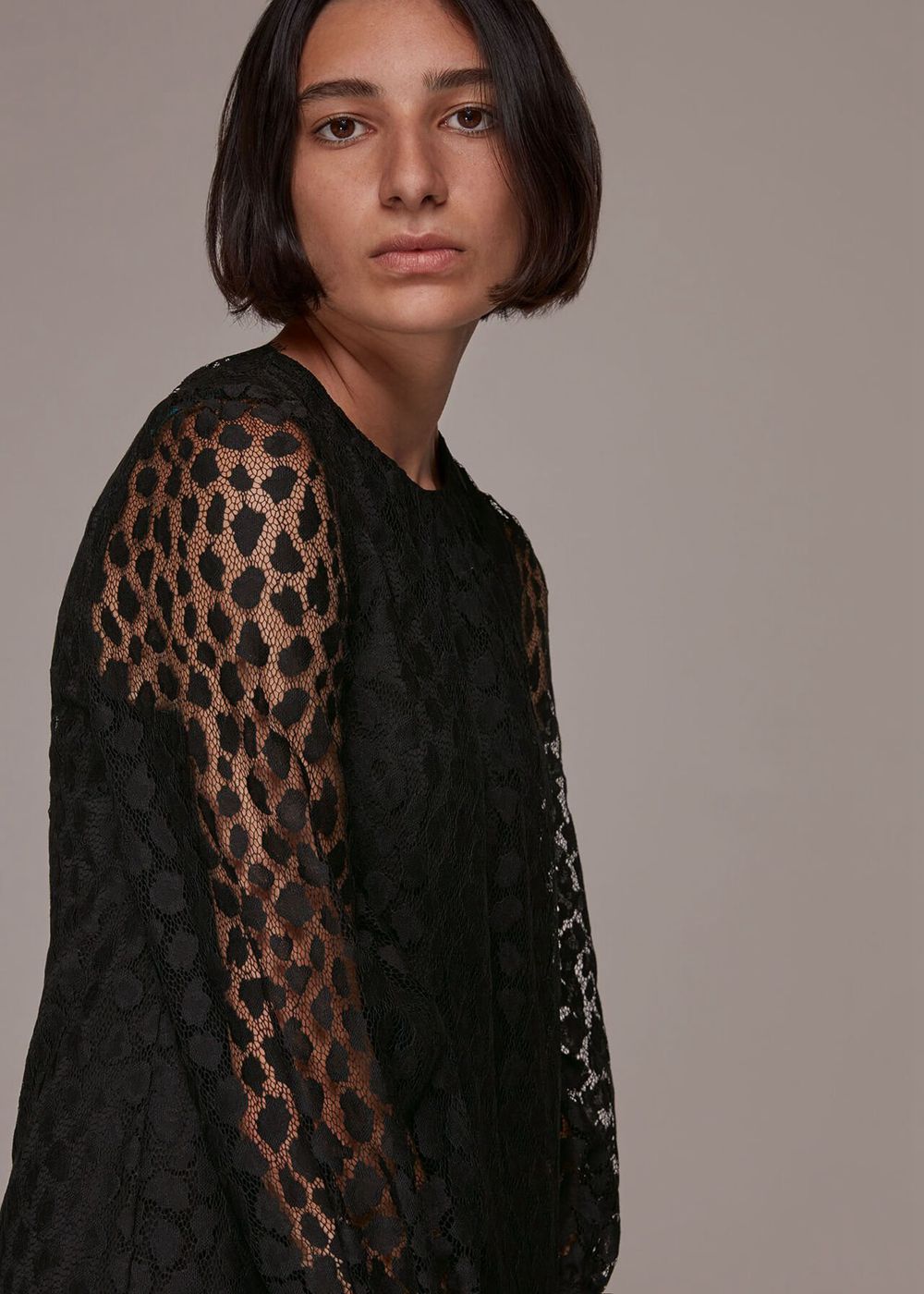 Whistles Animal Lace Tie Detail Dress Black | US-15349ALIP