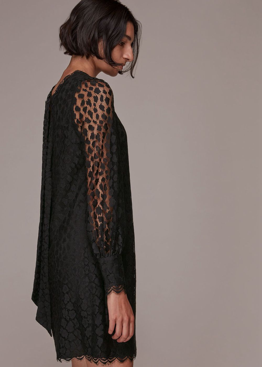 Whistles Animal Lace Tie Detail Dress Black | US-15349ALIP