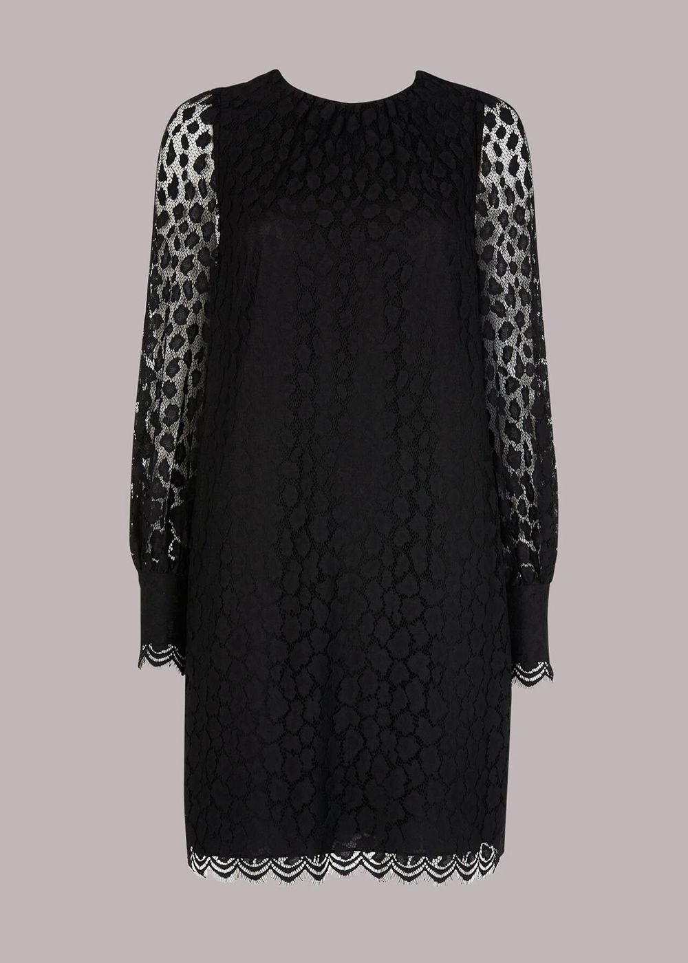 Whistles Animal Lace Tie Detail Dress Black | US-15349ALIP