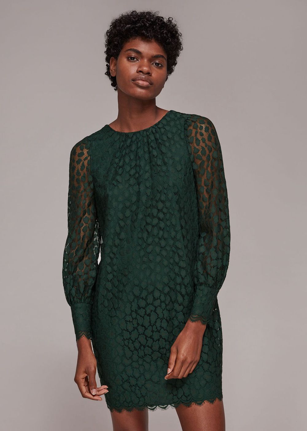 Whistles Animal Lace Tie Detail Dress Dark Green | US-05369DBWR