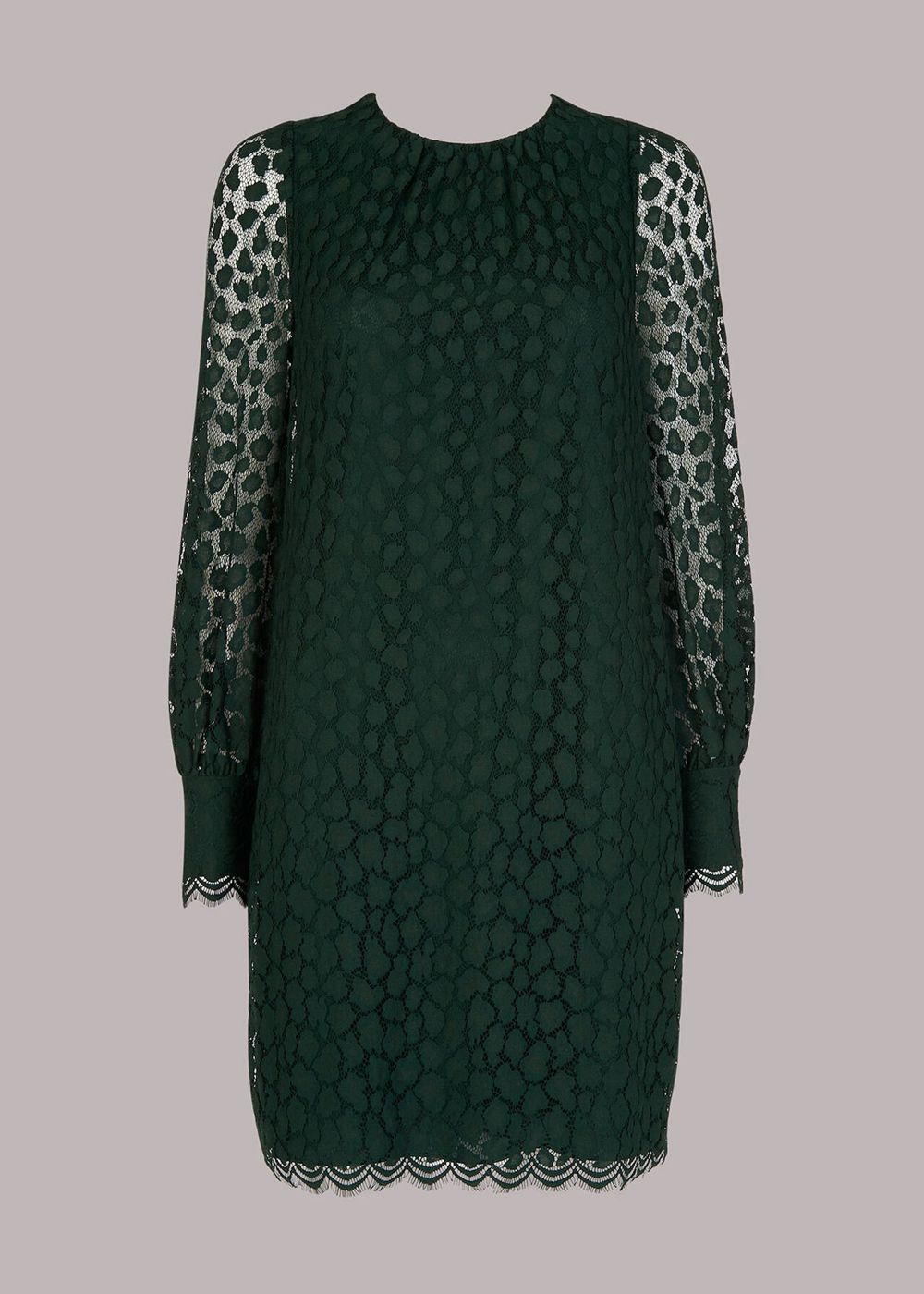 Whistles Animal Lace Tie Detail Dress Dark Green | US-05369DBWR