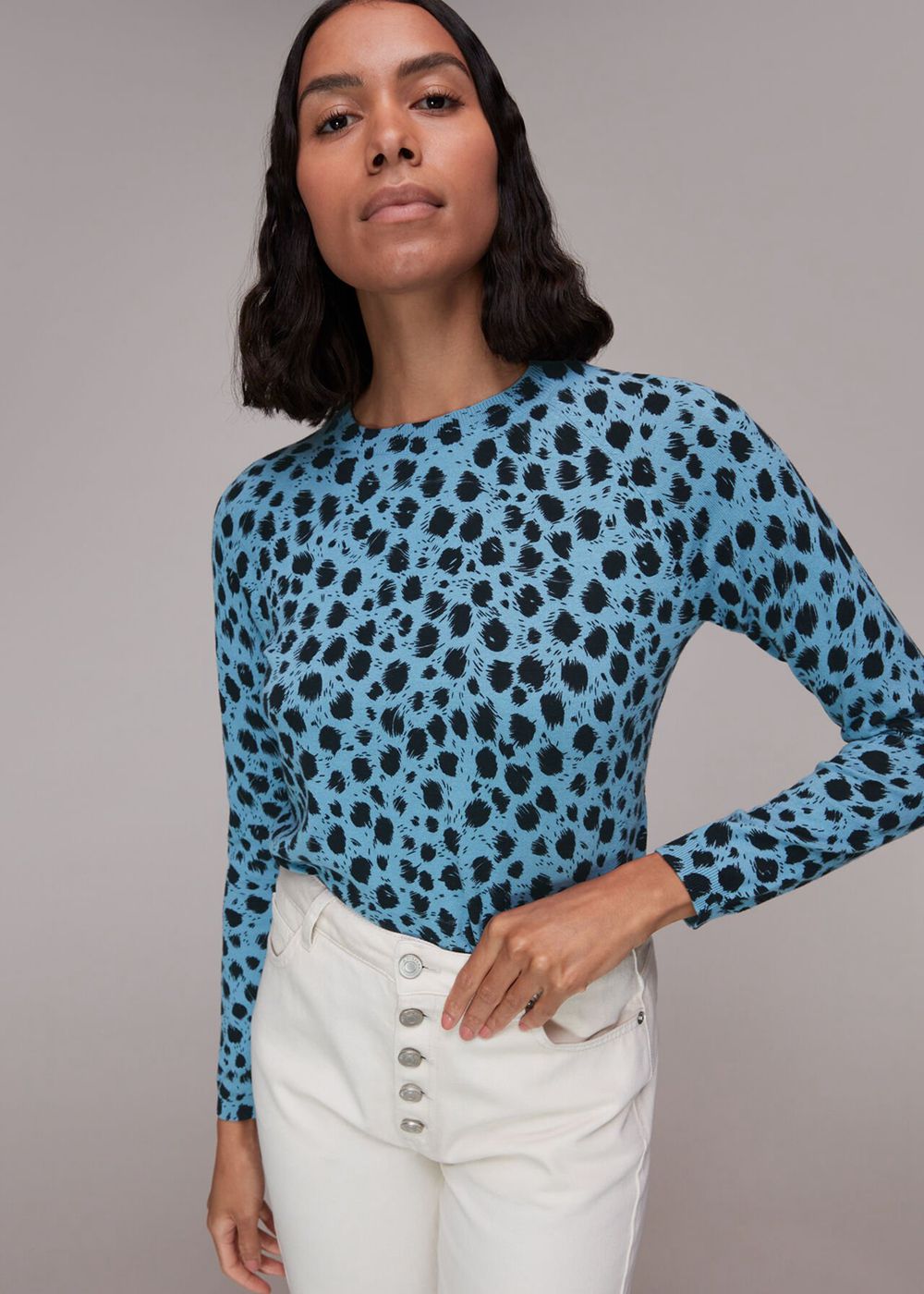 Whistles Brushed Dalmatian Crew Knitwear Blue / Multicolor | US-52643LBJY