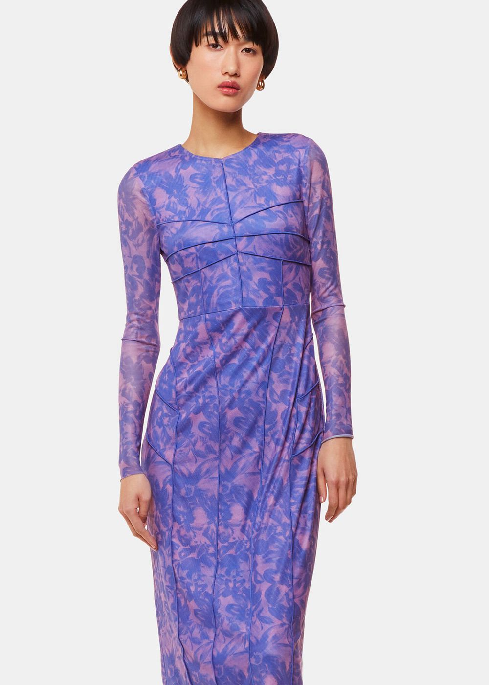 Whistles Etched Bouquet Mesh Dress Blue / Multicolor | US-30728XIJH