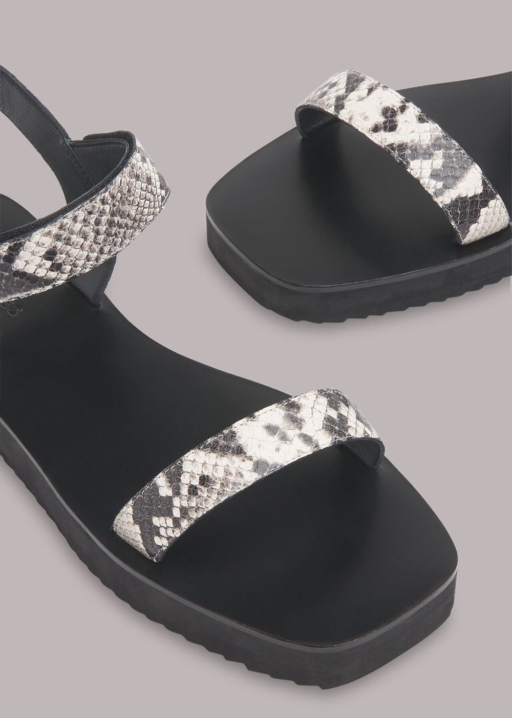 Whistles Finn Velcro Sandals Snake | US-31458NHGD