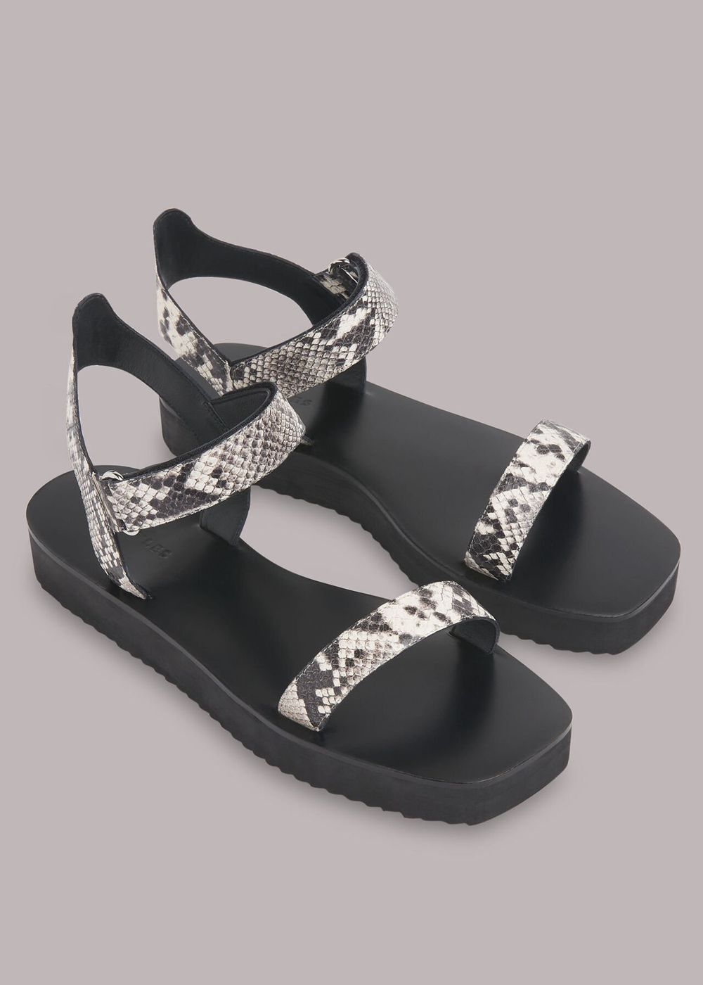 Whistles Finn Velcro Sandals Snake | US-31458NHGD