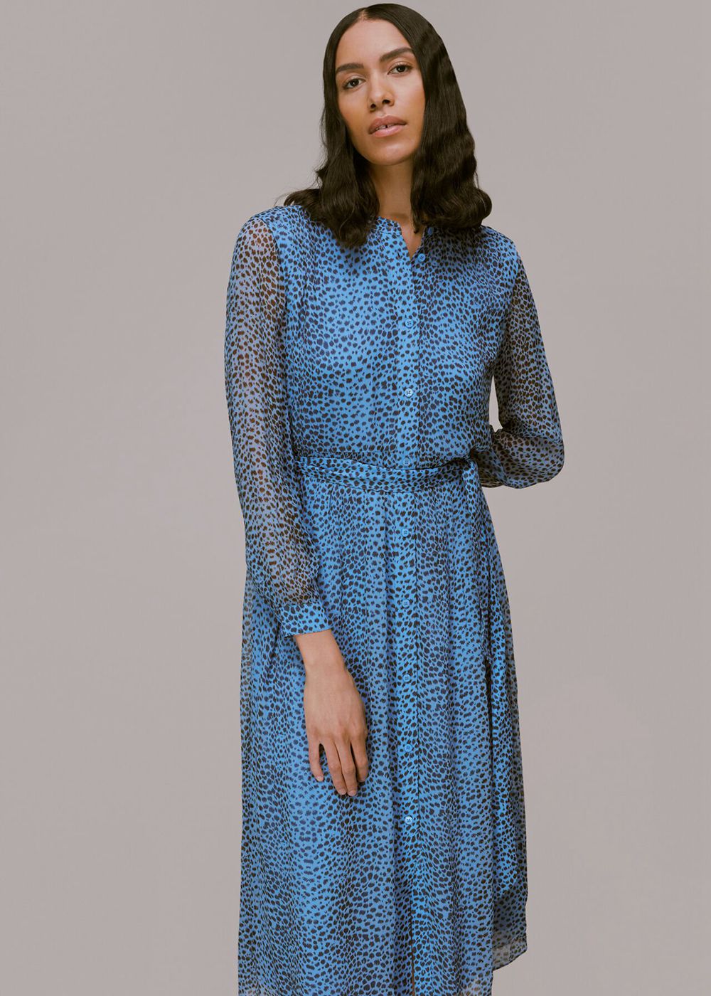 Whistles Gradient Animal Print Dress Blue / Multicolor | US-43691FBCI