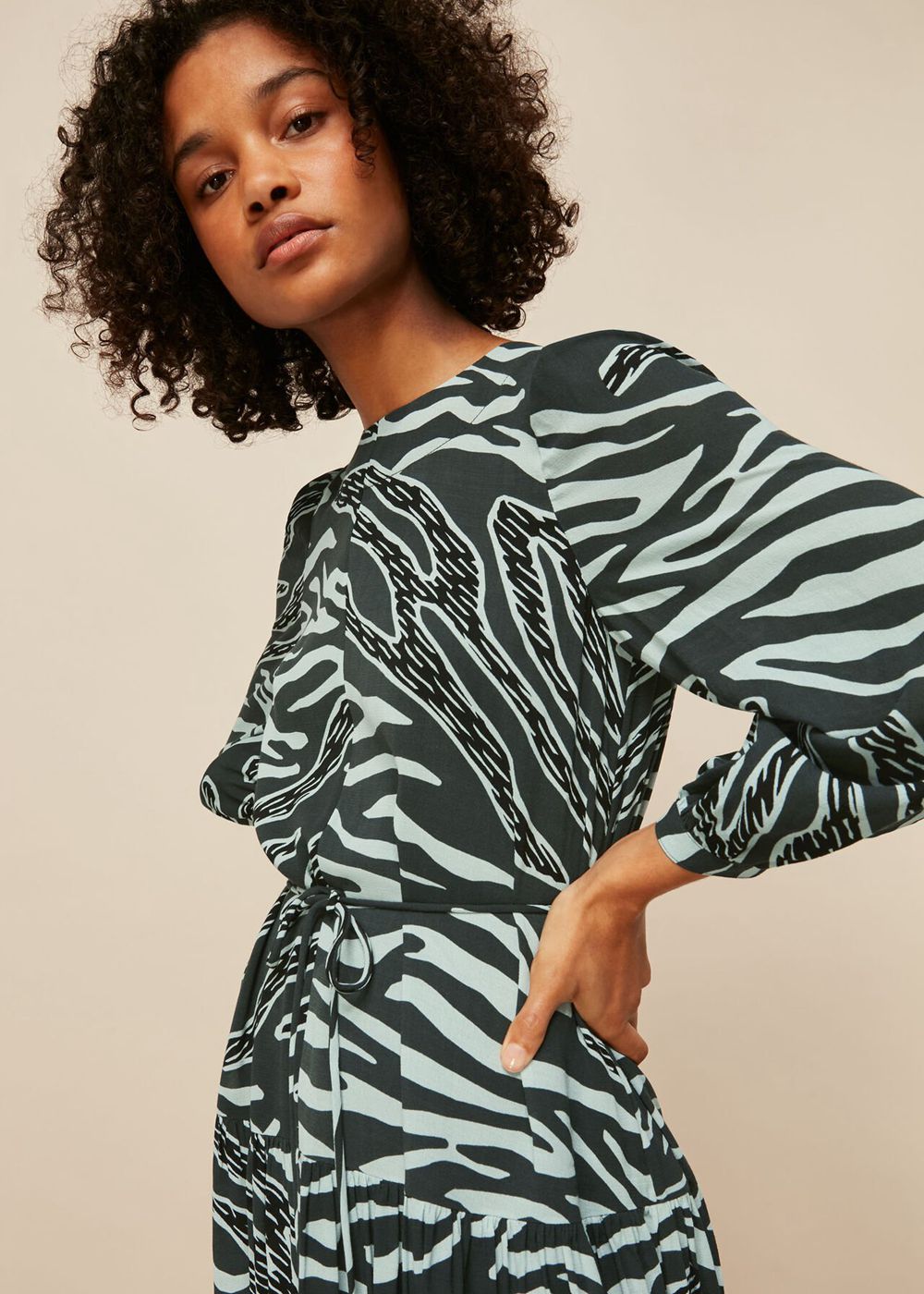 Whistles Graphic Zebra Print Dress Multicolor | US-82063TKGQ