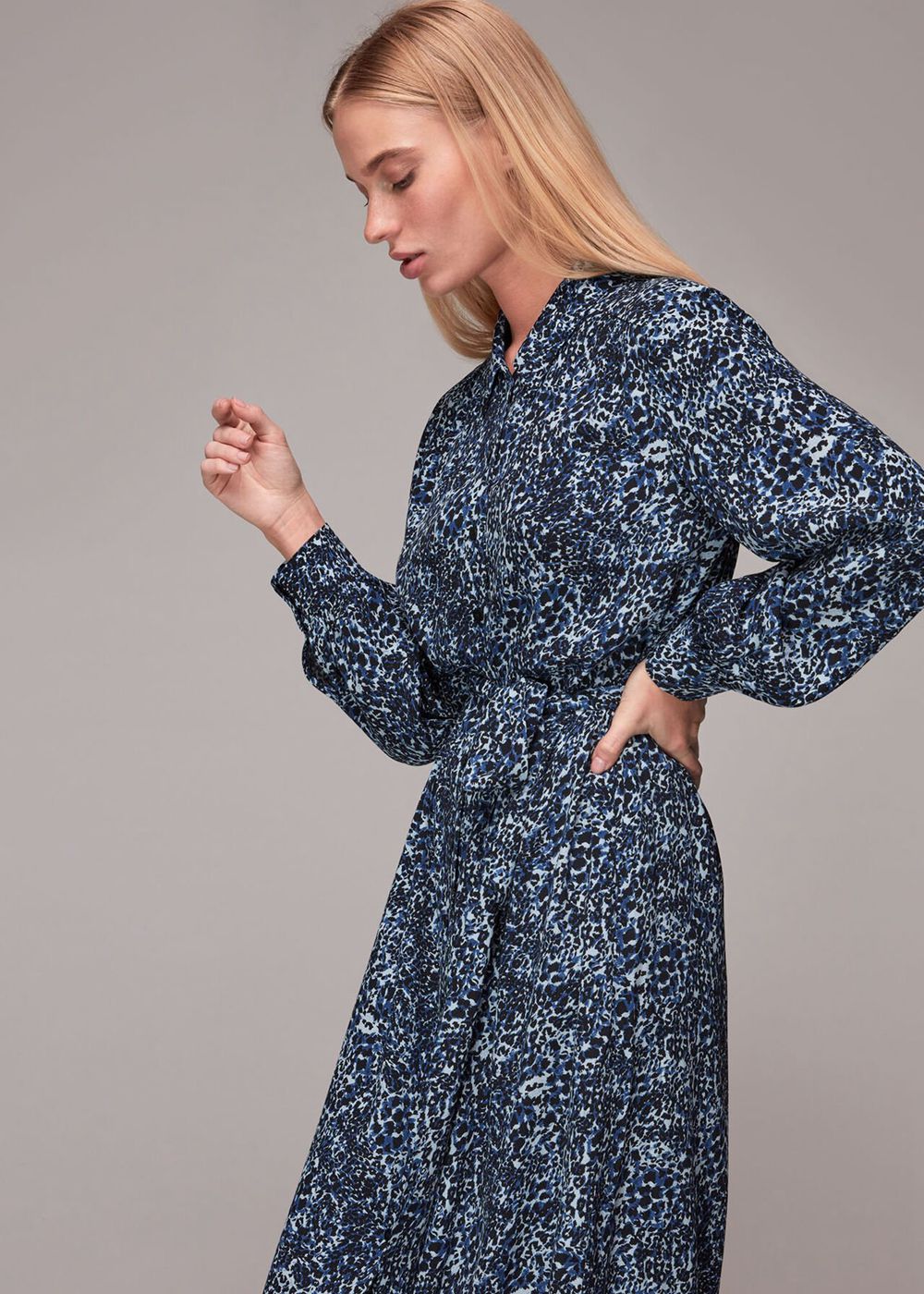 Whistles Micro Animal Shirt Dress Blue / Multicolor | US-98302ZDMT