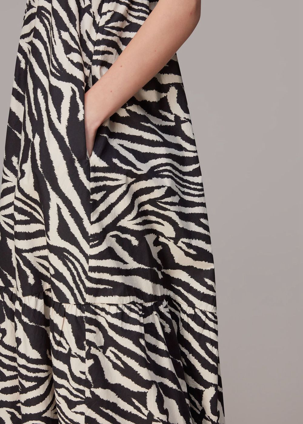 Whistles Mountain Zebra Print Dress Multicolor | US-45879NFRI