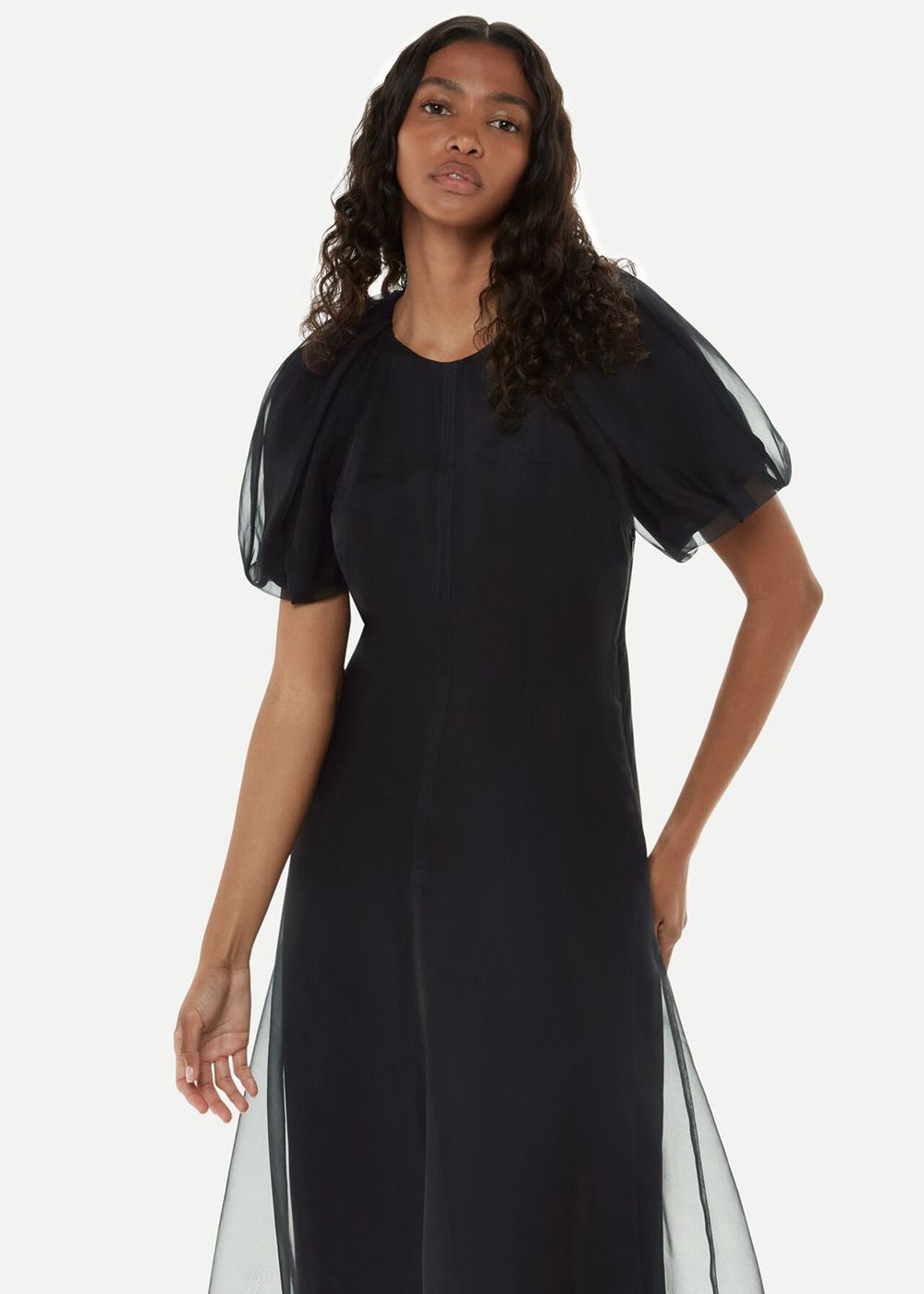 Whistles Organza Silk Puff Sleeve Dress Black | US-21487QGUA