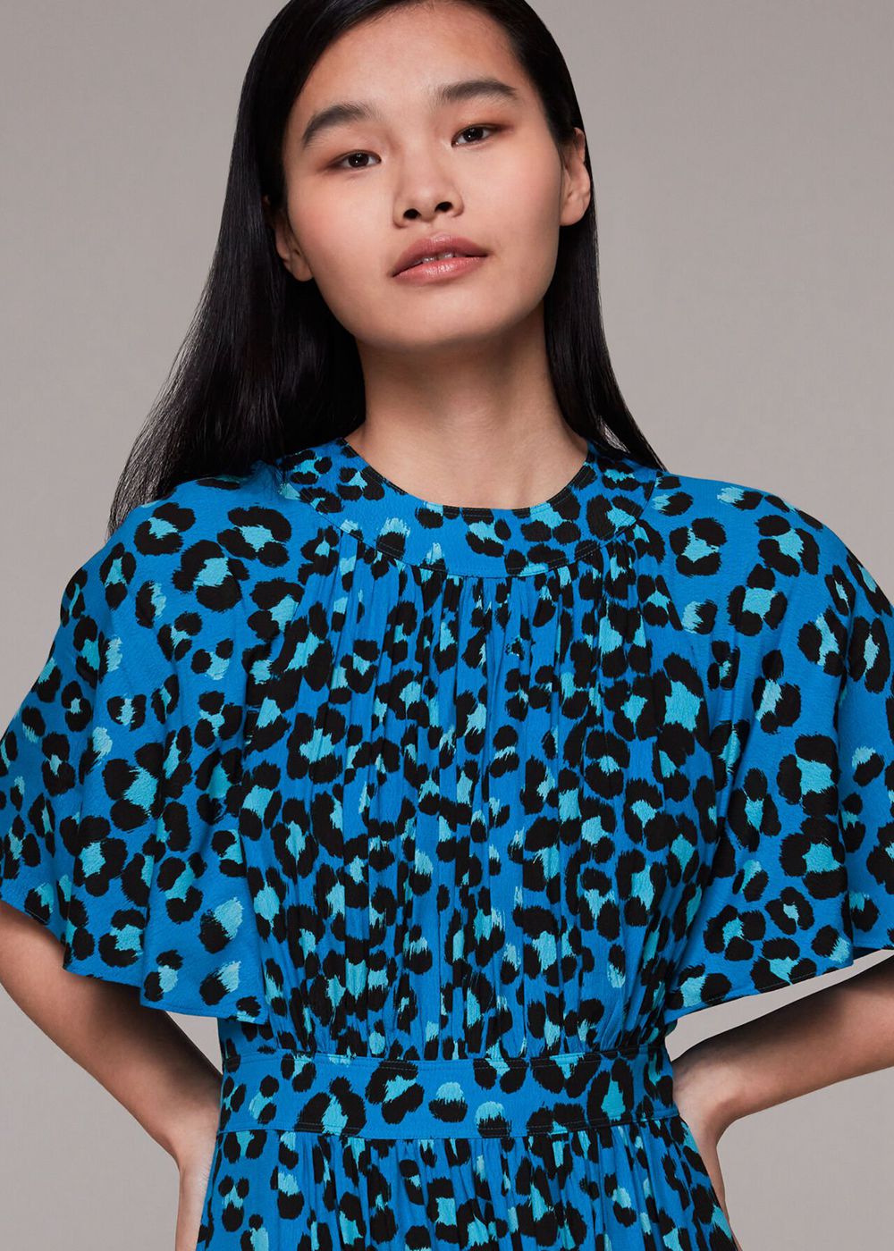 Whistles Painted Leopard Amelia Dress Blue / Multicolor | US-13809UDTP