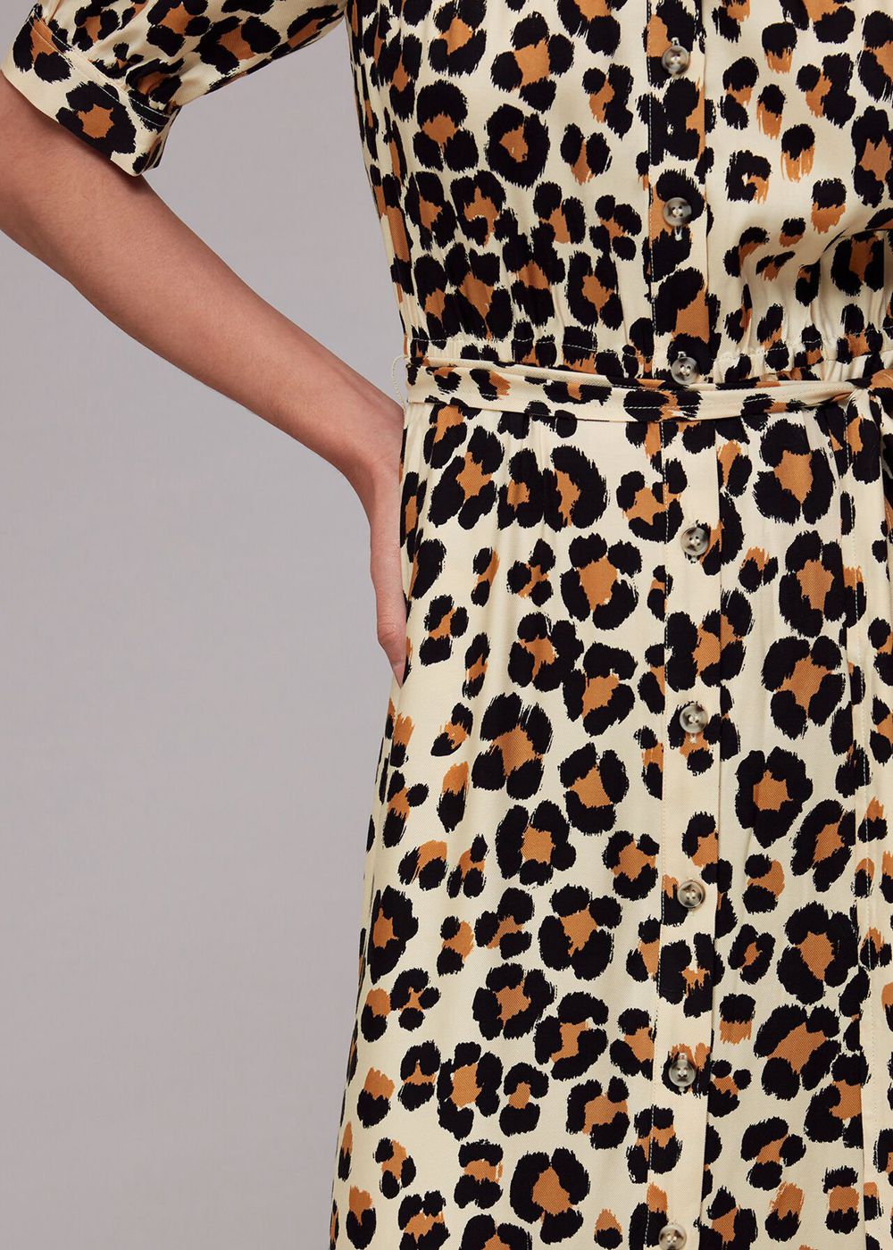 Whistles Painted Leopard Shirt Dress Leopard | US-32591FUYJ