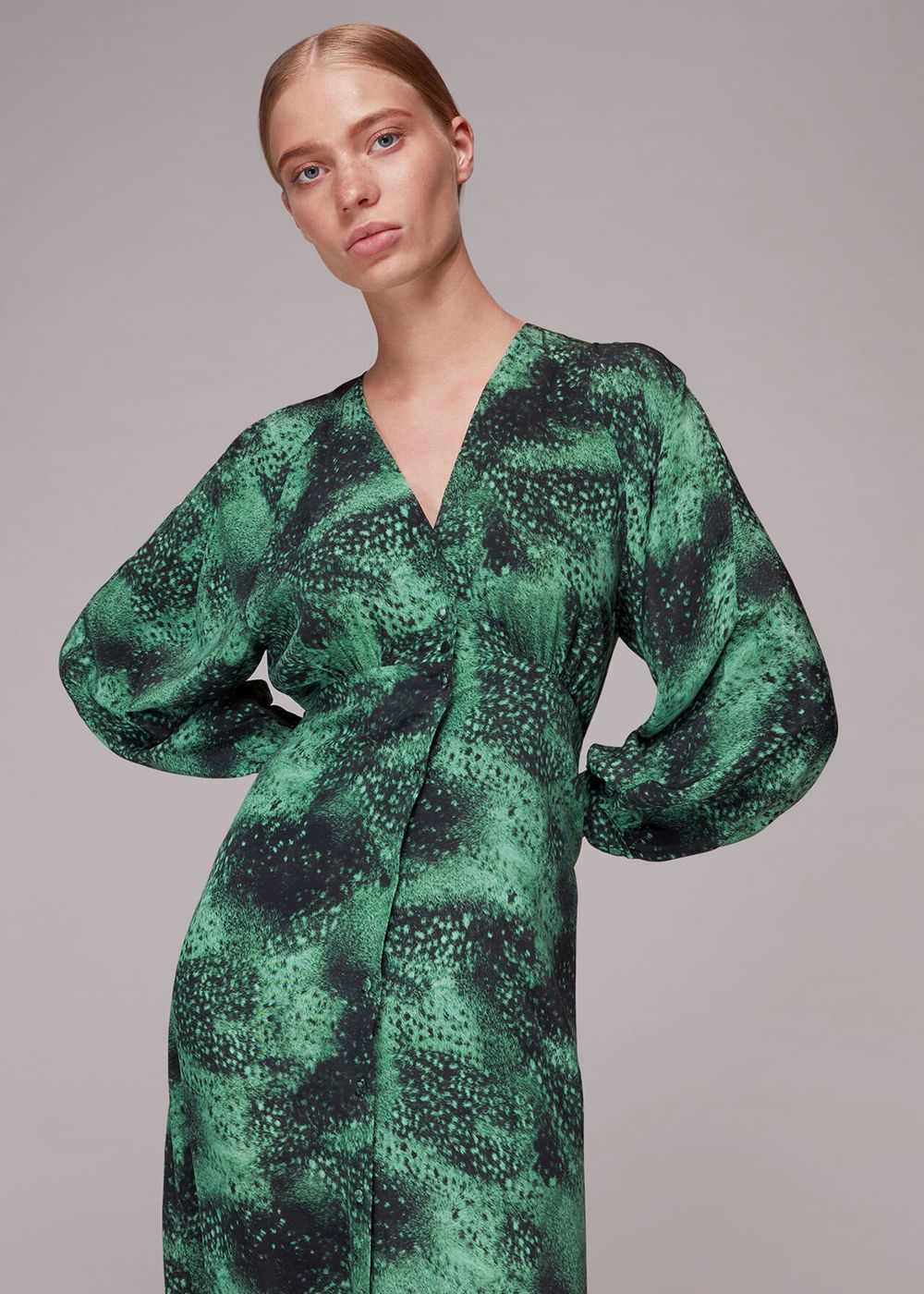 Whistles Photographic Animal Silk Dress Green / Multicolor | US-24701SNIP