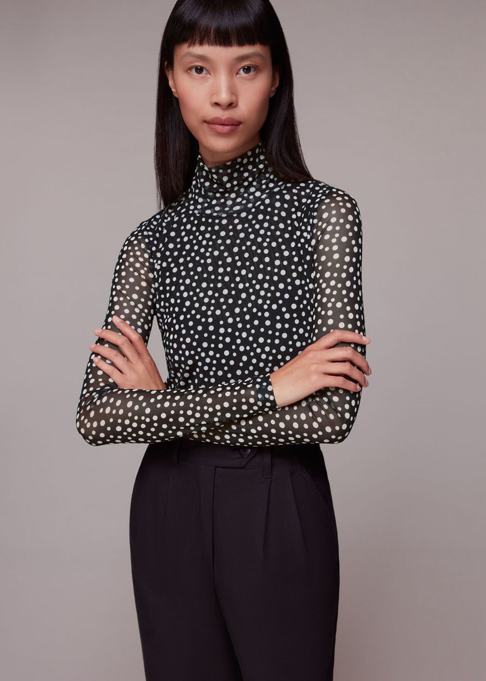 Whistles Roll Neck Spot Mesh Top Black / Multicolor | US-86324UXHZ