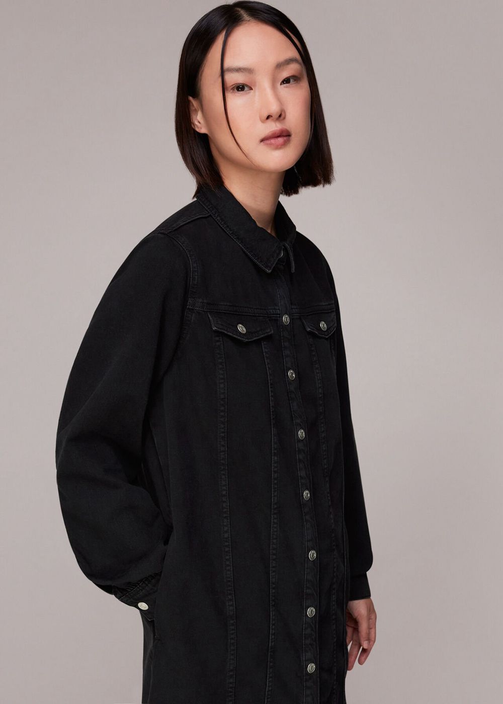 Whistles Rosanna Denim Dress Black | US-31275DFRX