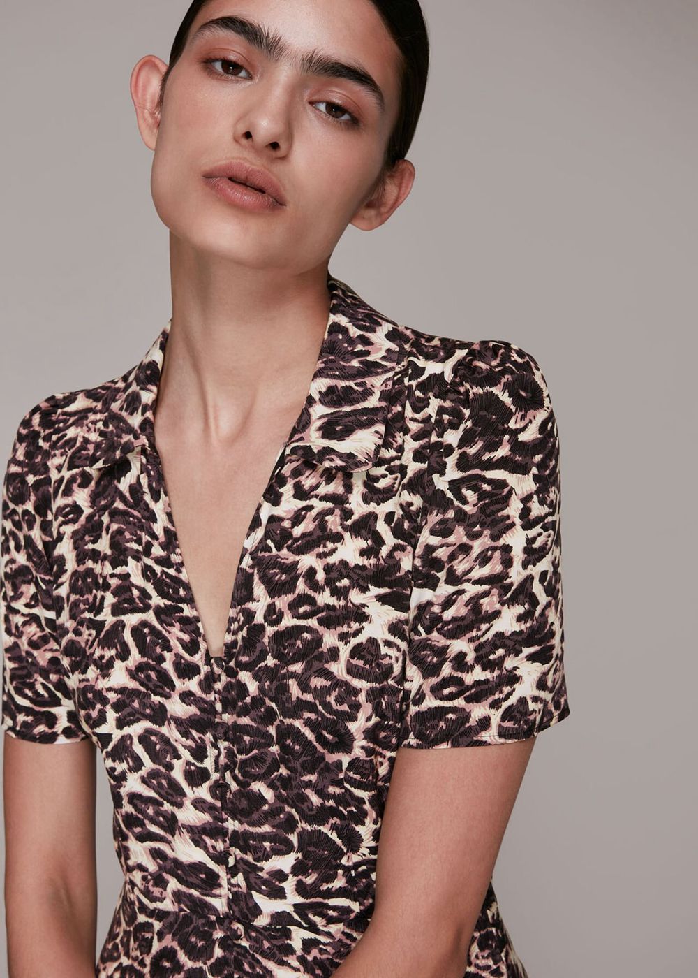 Whistles Rowan Clouded Leopard Dress Leopard | US-01672VGHZ