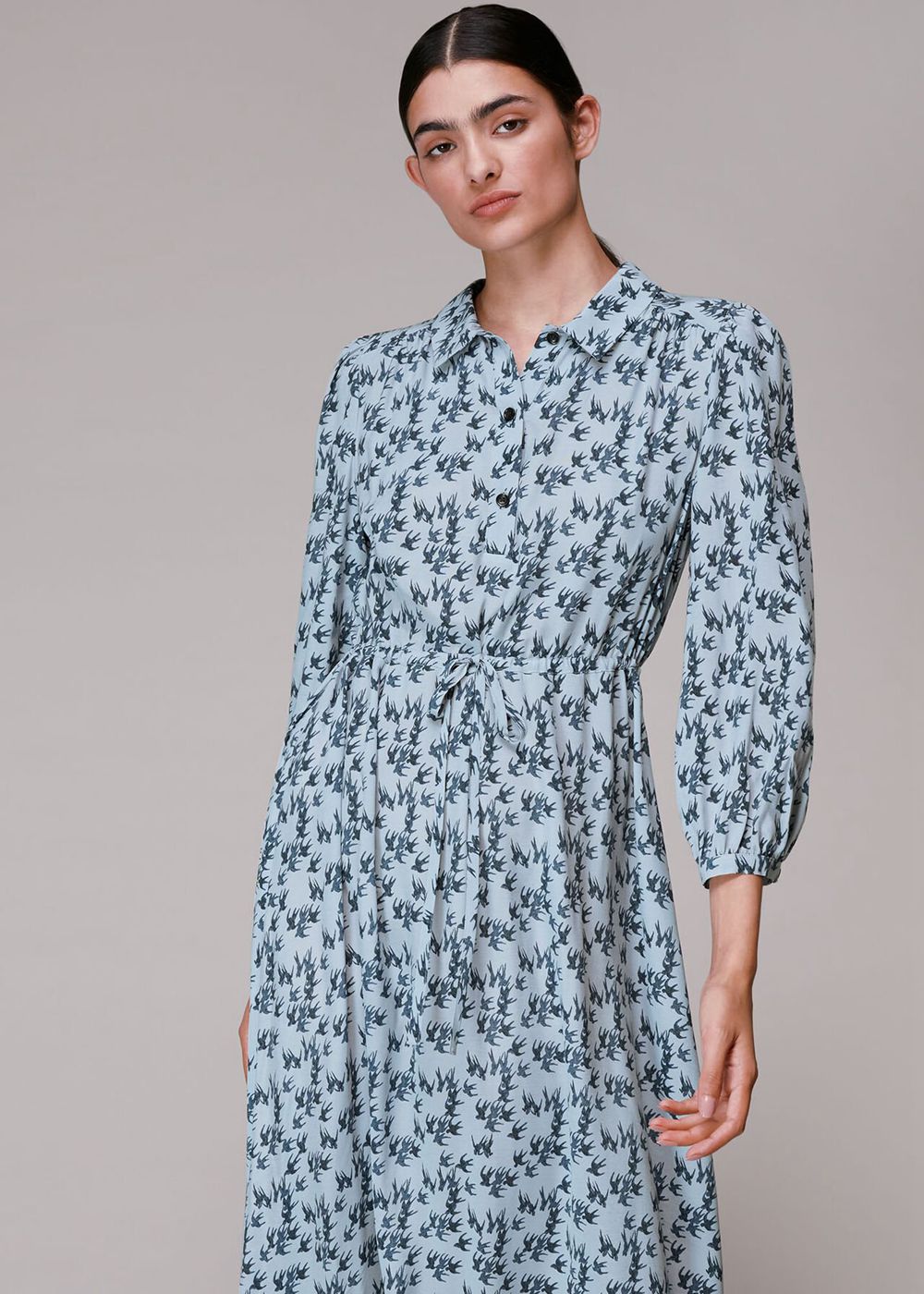 Whistles Swallows Print Midi Dress Blue / Multicolor | US-49857DPFB