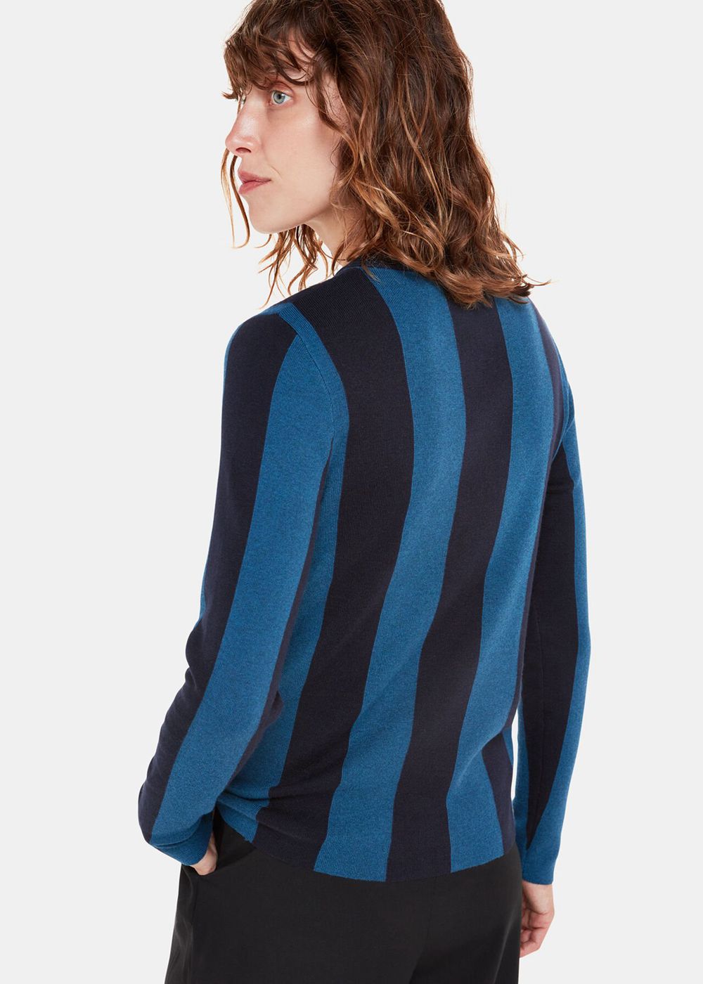 Whistles Vertical Stripe Crew Neck Knitwear Navy / Multicolor | US-14079LHYN