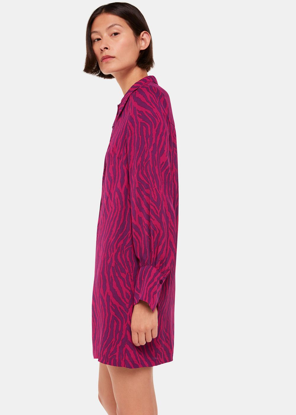 Whistles Zebra Stripe Collar Dress Purple / Multicolor | US-51048AWHK